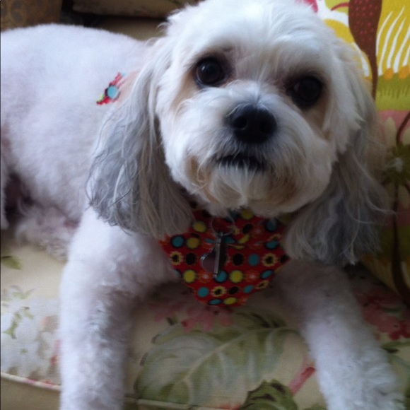 Meet your Posher, Mariann - Picture 2 of 3